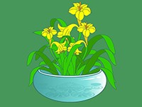 花中君子-中國(guó)蘭