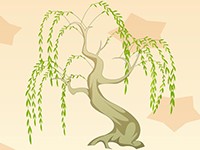 迎風(fēng)起舞的柳樹